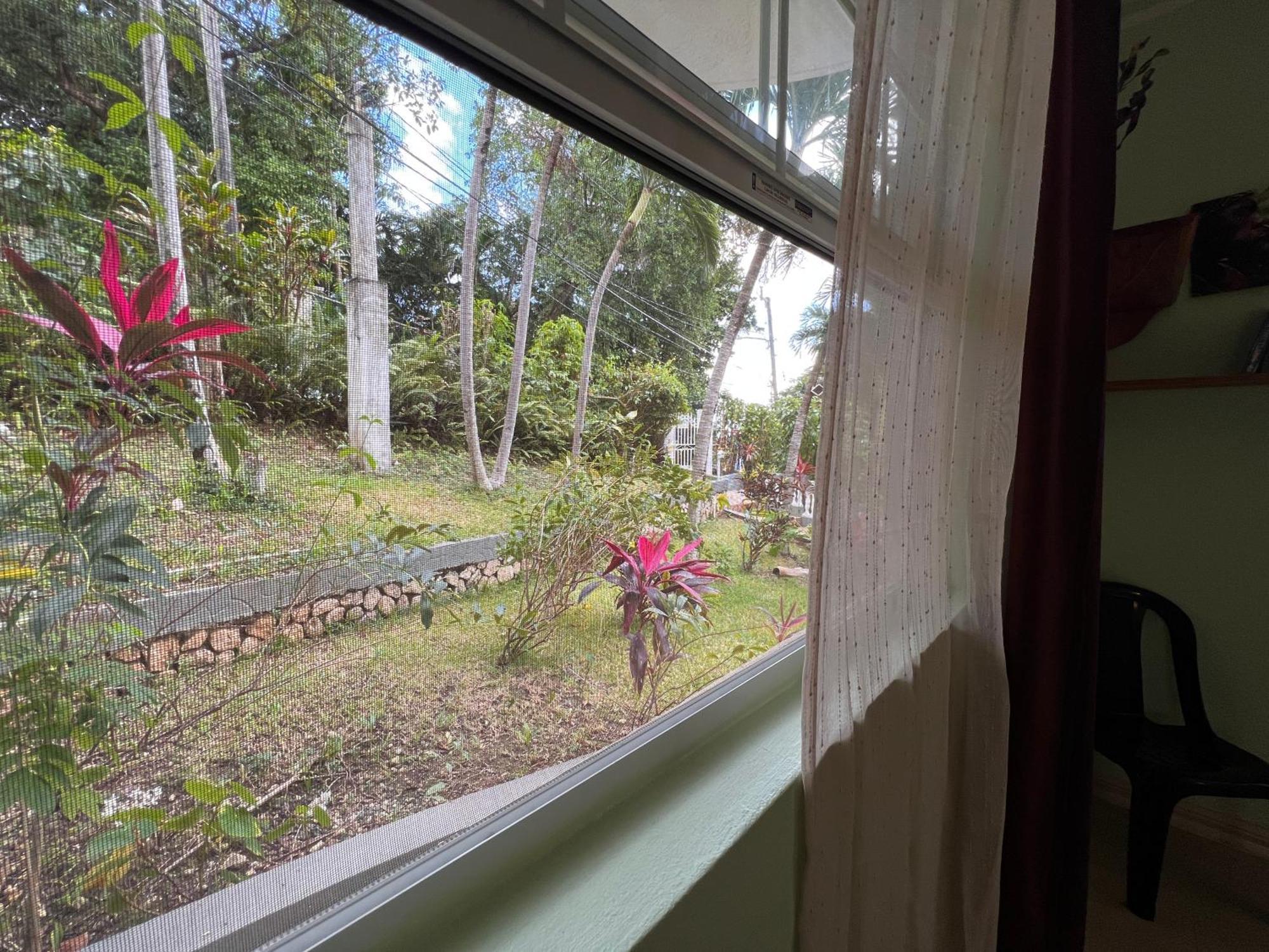 All Nations Guest House Port Antonio Habitación foto